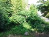 20130712_071605.jpg