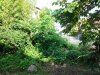 20130712_071610.jpg