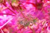DSC_0232.jpg