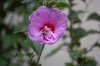 DSC_0142.jpg