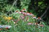 DSC_0066.jpg