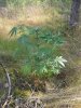 20130713_164020.jpg