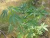 20130713_164036.jpg