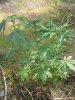 20130713_164059.jpg