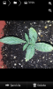SC20130713-181523.png