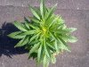 300620131305.jpg
