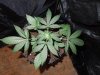 DSCN5856.jpg