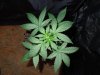 DSCN5862.jpg