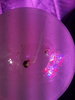 20210208_195915.jpg