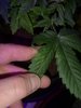 IMG_20210412_222913.jpg
