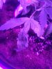 IMG_20210414_201517.jpg
