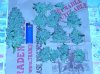 NSR 1st Cut    128g  4.57oz 002.jpg
