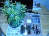 NSR 1st Cut    128g  4.57oz 001.jpg