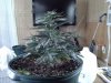 20130716_121344.jpg