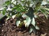 20130713_094417.jpg