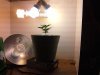 20130629_122618.jpg 20130629_122618.jpg