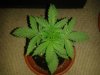 20130716_231127.jpg