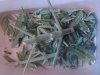 IMG_20130717_130408.jpg