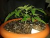 20130717_203614.jpg