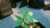 WP_20130718_004.jpg