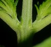 20130718_200528-1.jpg