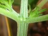 20130718_201118-1.jpg