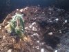 IMG_20130718_205334.jpg