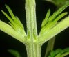 20130718_200057-1.jpg