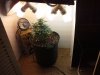 20130719_173018.jpg