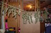 DSC_0026.jpg