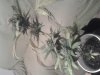 20130719_220503.jpg