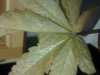 20130719_220324.jpg