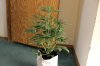 AUTO MOBY DICK_7-20-13 2.jpg