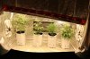 AUTOS-MOBY-GP-CHEESE-SAD_7-20-13.jpg