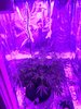 E5B697AA-20AB-448F-8165-4863A34E93E3.jpeg