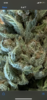D2CD3F35-C6D8-4AFC-ABAE-629A51B4F293.png