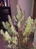 20180602_062719.jpg