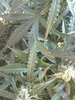 IMG_20210509_182019.jpg