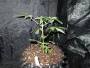 DSCN5924.jpg