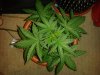20130722_010310.jpg
