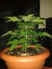 20130722_010930.jpg