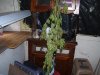 100_2718.jpg