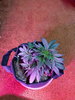 20210516_073423.jpg