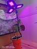 IMG_20210605_135925.jpg