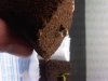 IMG01941-20130716-2051.jpg