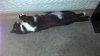 IMG_20130706_085937_869.jpg
