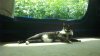IMG_20130725_134337_480.jpg