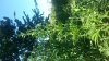 20130724_172727.jpg