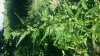 20130724_172735.jpg