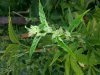 20130727_161342.jpg